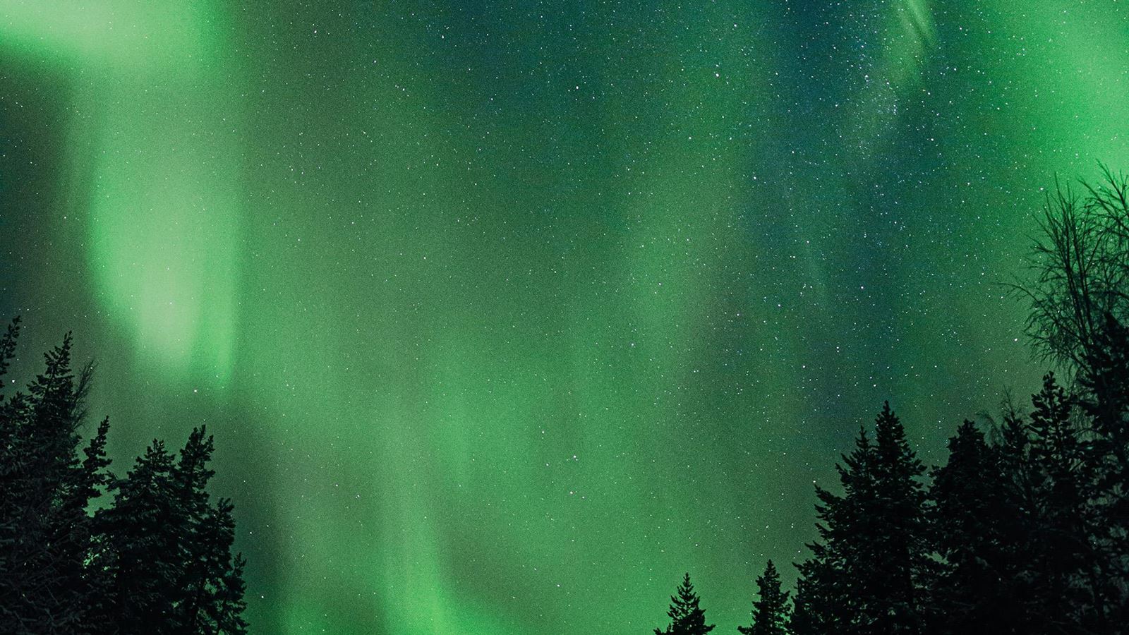 forksningochutveckling.