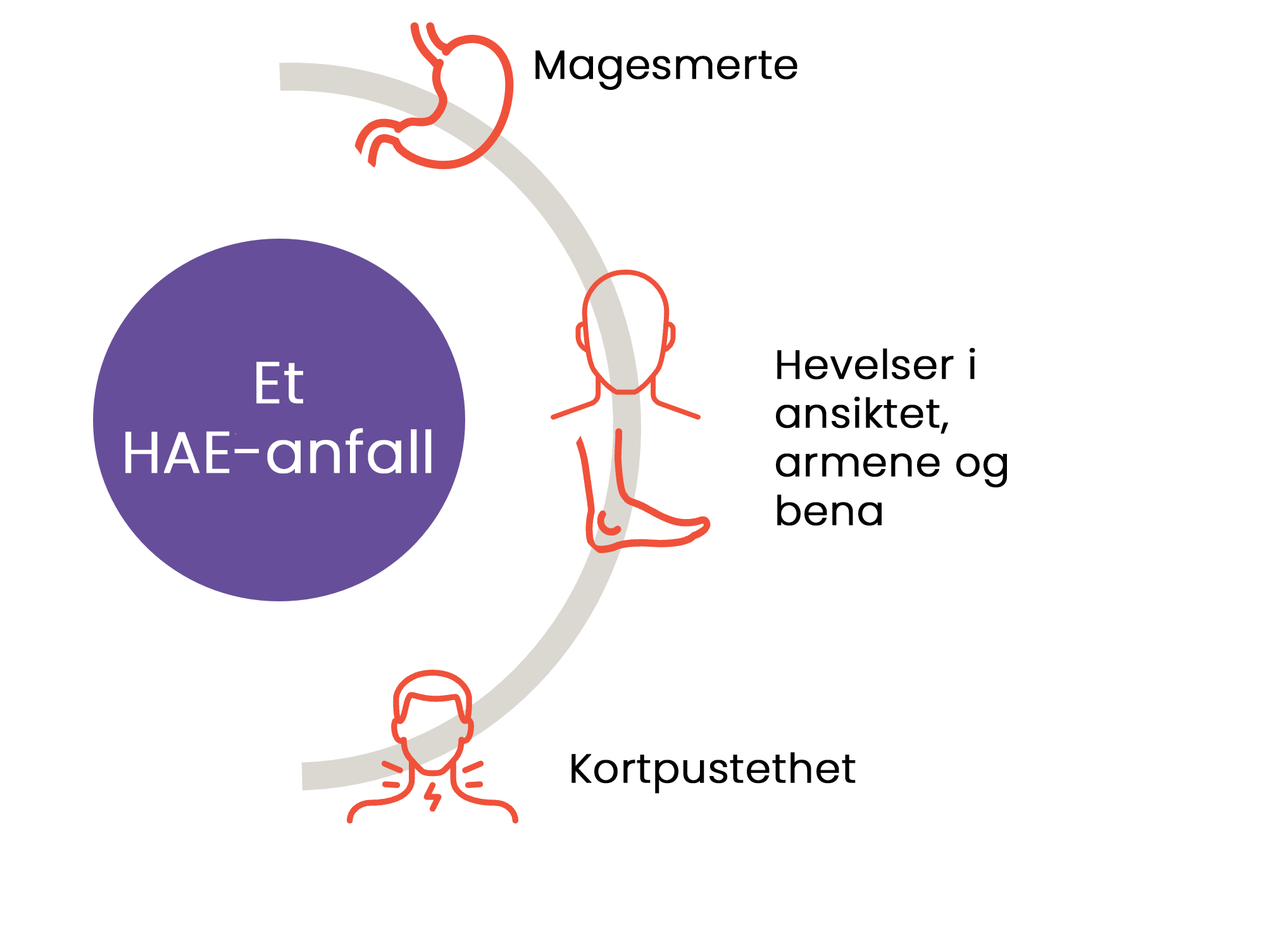 Illustration: Et HAE-anfall – Magesmerte – Hevelser i ansiktet, armene og bena - Kortpustethet